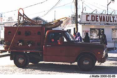 Camion-traineaux  chiens